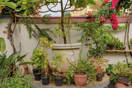 Eden Garden Villa By Jadecaps Nr Mg Road Garden Bangalore Extérieur photo