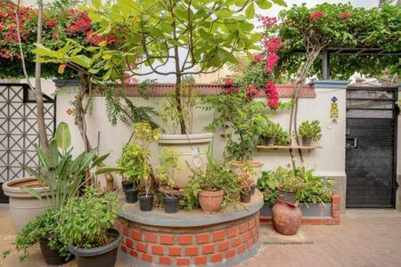 Eden Garden Villa By Jadecaps Nr Mg Road Garden Bangalore Extérieur photo