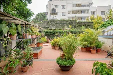 Eden Garden Villa By Jadecaps Nr Mg Road Garden Bangalore Extérieur photo